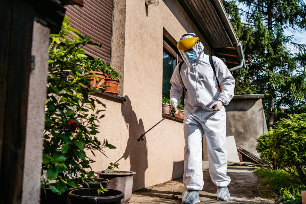 Best Bed Bug Extermination  in Morada, CA